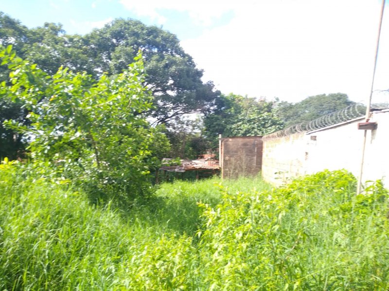 Casa à venda Gomes com 2000m² e 3 quartos por R$ 800.000 - 1777961990-img-20200130-wa0010.jpg