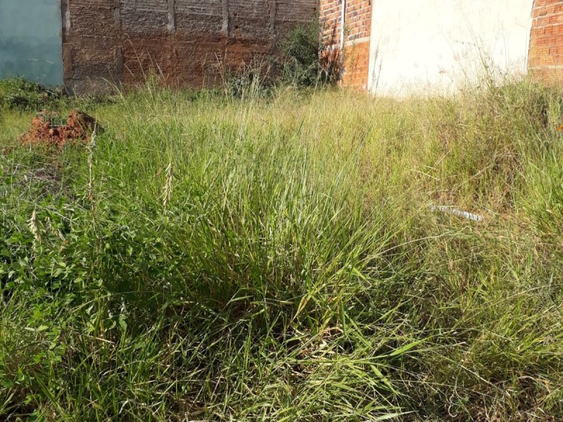 Terreno à venda SETSUL com 200m² e  quartos por R$ 120.000 - 1375811679-whatsapp-image-2020-05-21-at-13.jpeg