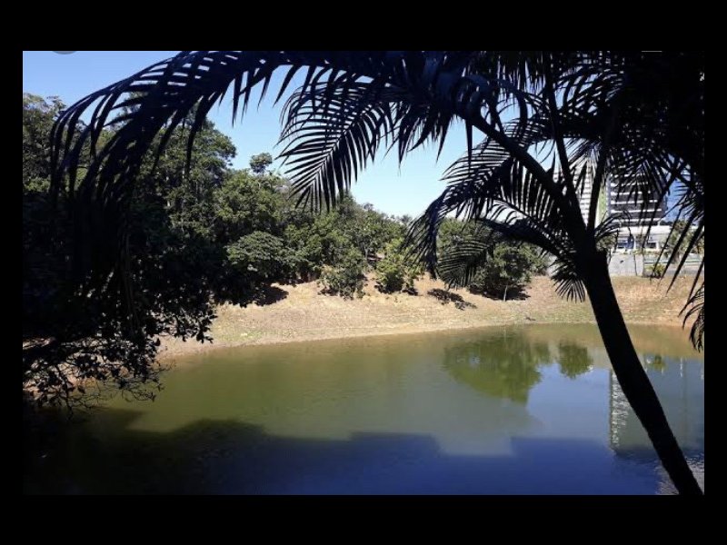 Apartamento à venda São Marcos com 60m² e 2 quartos por R$ 250.000 - 1249248737-6d41c098-1903-4e02-815f-4156231089c2.jpeg