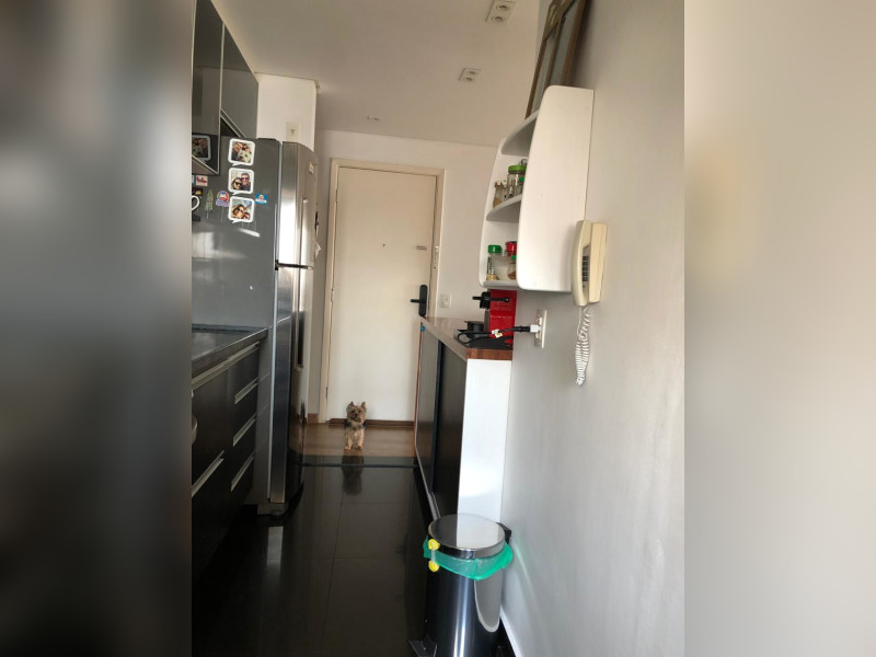 Apartamento à venda Parque Reboucas com 57m² e 2 quartos por R$ 335.000 - ad8a620b-ee7c-4fe5-8df7-2addb84572de.jpeg