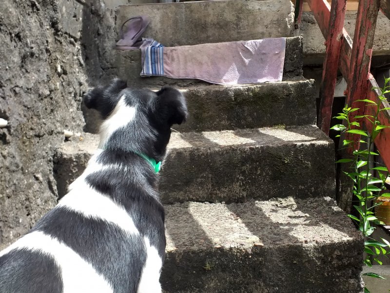 Casa à venda Agronomia com 80m² e 3 quartos por R$ 100.000 - 1051318552-20200210-101309.jpg