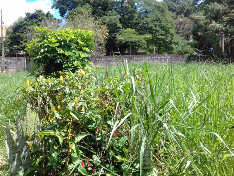 Terreno à venda Brooklin com 1000m² e  quartos por R$ 2.500.000 - 502115619-img-20190324-wa0017.jpg