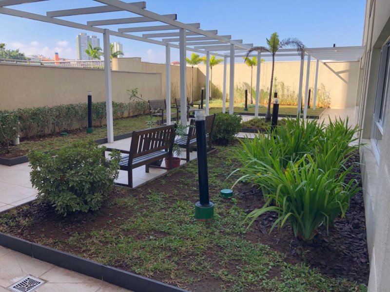 imóvel com 66m² - Limão - São Paulo