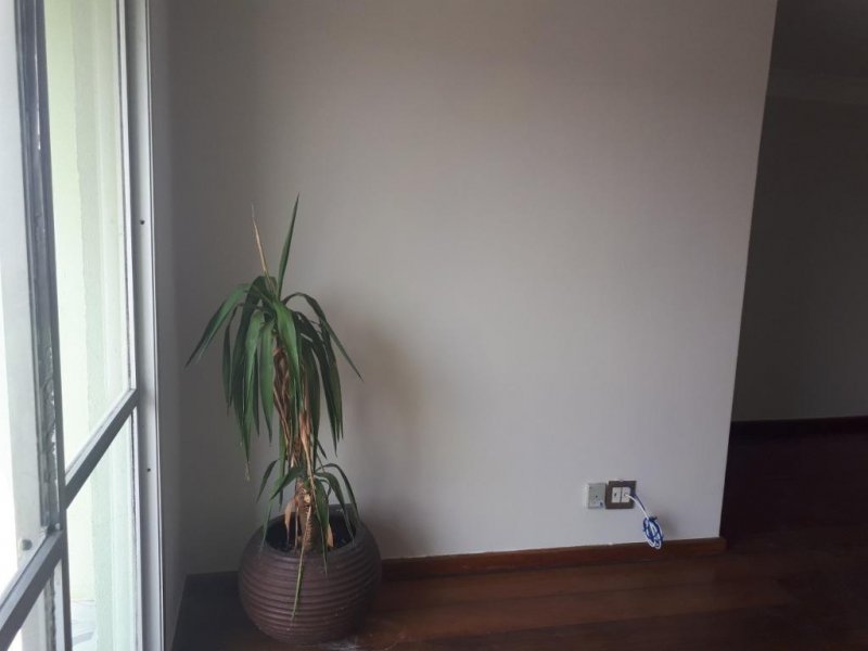 imóvel com 65m² - Sacomã - São Paulo