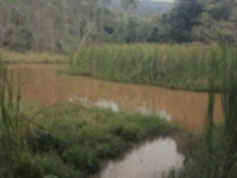 Terreno à venda da Capelinha com 290m² e  quartos por R$ 3.200.000 - 412283006-image.jpg