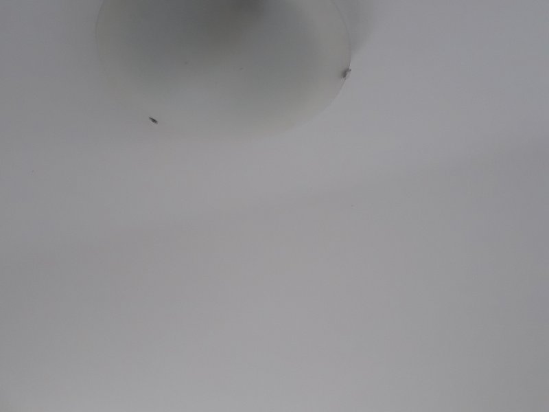 Apartamento à venda Vila São Francisco com 70m² e 3 quartos por R$ 340.000 - 1819410017-20200525-133329.jpg