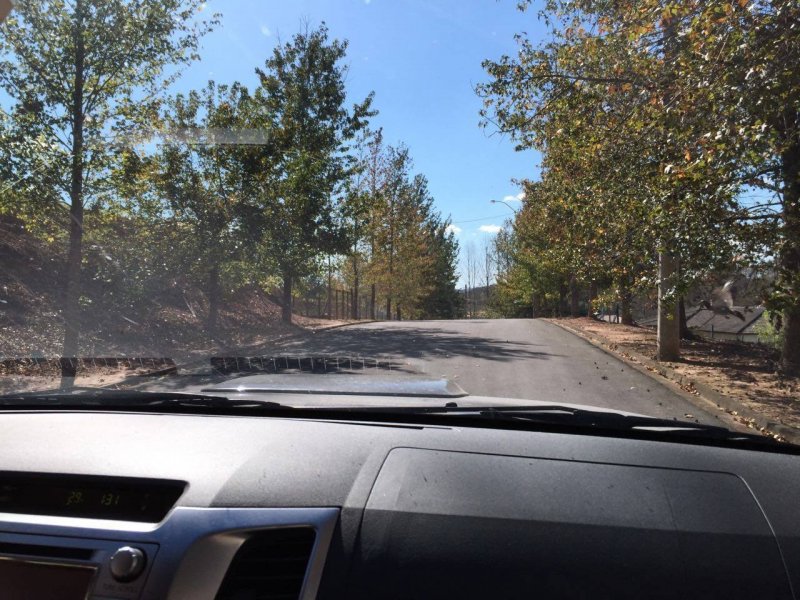 Casa de condomínio à venda Ivoturucaia com 5007m² e 1 quarto por R$ 280.000 - 210713106-fotos-condominio-2.JPG