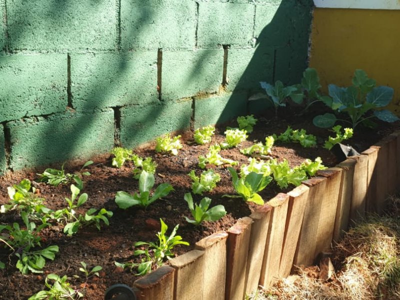 Chácara à venda Parque da Mooca com 800m² e 3 quartos por R$ 895.000 - 1730809969-img-20200429-wa0049.jpg
