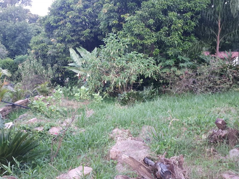 Casa de condomínio à venda Recanto das Flores com 6000m² e 2 quartos por R$ 1.100.000 - 1813662204-20200229-182441.jpg