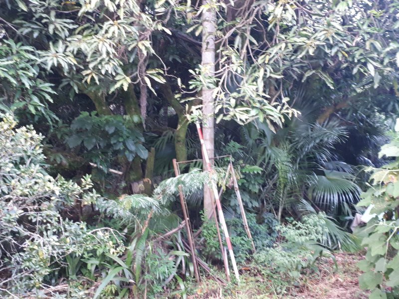 Casa de condomínio à venda Recanto das Flores com 6000m² e 2 quartos por R$ 1.100.000 - 1818445104-20200229-182559.jpg