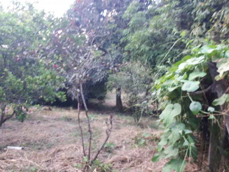 Casa de condomínio à venda Recanto das Flores com 6000m² e 2 quartos por R$ 1.100.000 - 257950751-20200229-182534.jpg