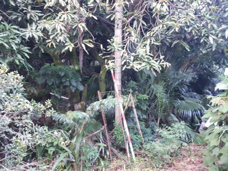 Casa de condomínio à venda Recanto das Flores com 6000m² e 2 quartos por R$ 1.100.000 - 337761046-20200229-182600.jpg