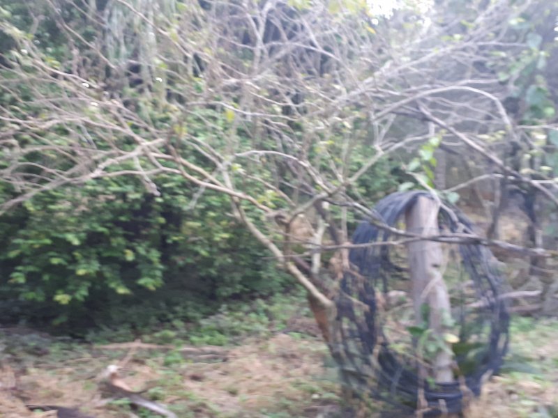 Casa de condomínio à venda Recanto das Flores com 6000m² e 2 quartos por R$ 1.100.000 - 347918202-20200229-182540.jpg