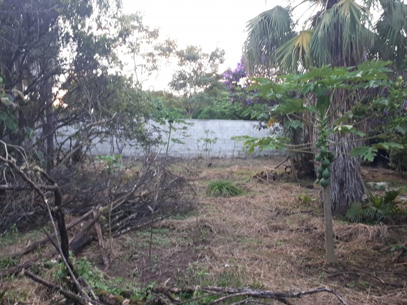 Casa de condomínio à venda Recanto das Flores com 6000m² e 2 quartos por R$ 1.100.000 - 522128259-20200229-182543.jpg