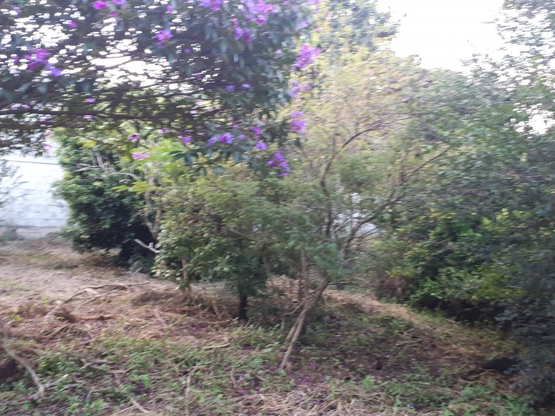 Casa de condomínio à venda Recanto das Flores com 6000m² e 2 quartos por R$ 1.100.000 - 98797184-20200229-182618.jpg