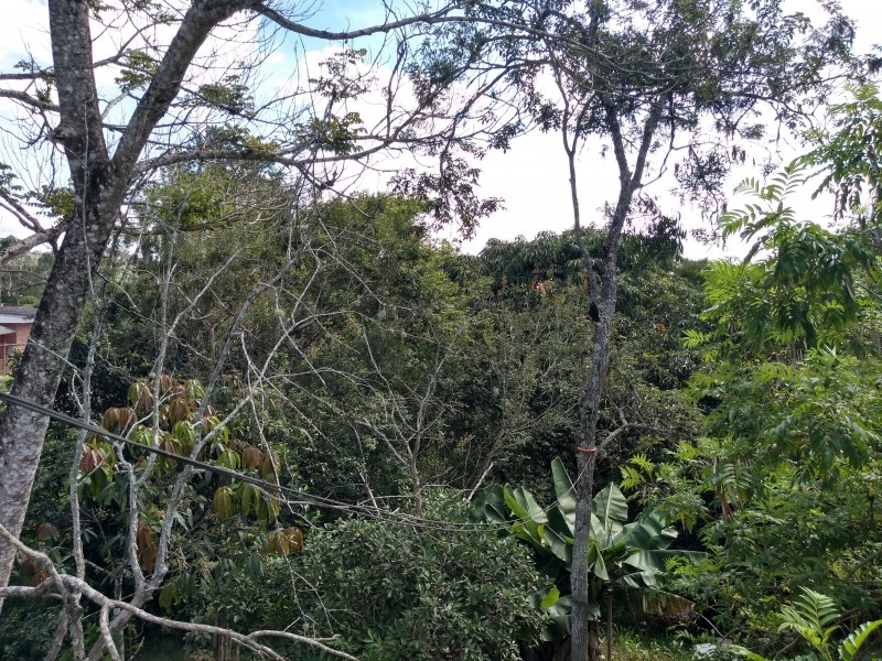 Chácara à venda Parque Agrinco com 5750m² e 3 quartos por R$ 700.000 - 1741931574-img-20191221-143238321-hdr.jpg