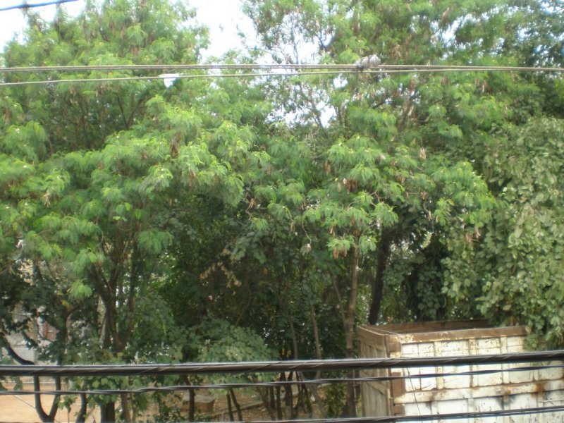 Casa à venda Jardim Cidade Pirituba com 680m² e 5 quartos por R$ 830.000 - 52153572-p9160002sobrado-4-dor.JPG