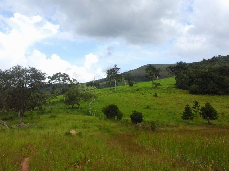 Fazenda à venda Centro com 854000m² e 3 quartos por R$ 9.000.000 - 1027052513-whatsapp-image-2020-05-29-at-08.jpeg