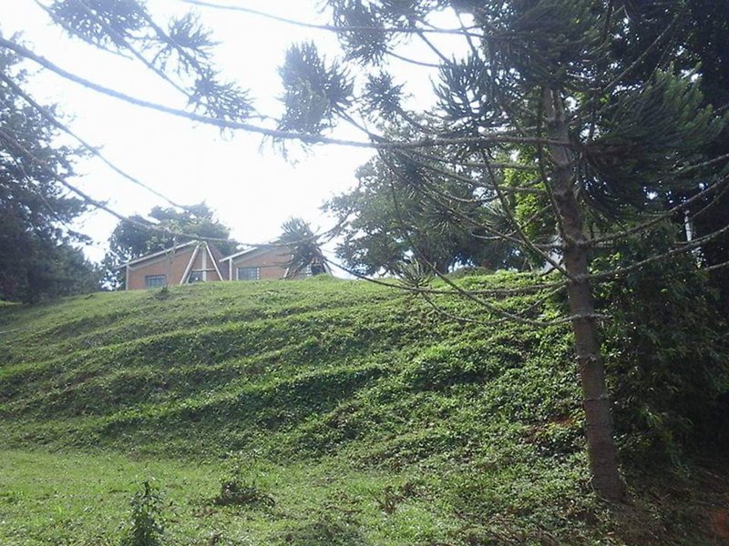 Fazenda à venda Centro com 854000m² e 3 quartos por R$ 9.000.000 - 1054326490-whatsapp-image-2020-05-31-at-20.jpeg