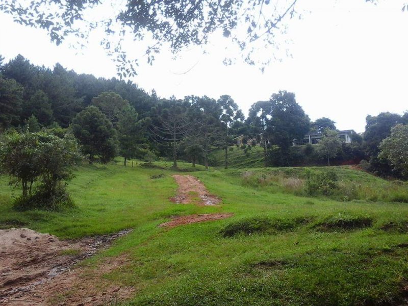 Fazenda à venda Centro com 854000m² e 3 quartos por R$ 9.000.000 - 1984957341-whatsapp-image-2020-05-29-at-08.jpeg