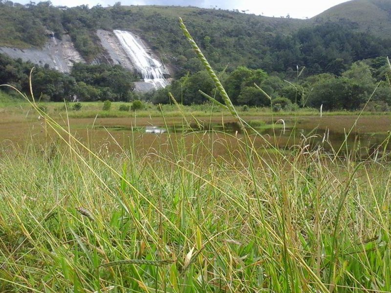 Fazenda à venda Centro com 854000m² e 3 quartos por R$ 9.000.000 - 434005923-whatsapp-image-2020-05-29-at-08.jpeg