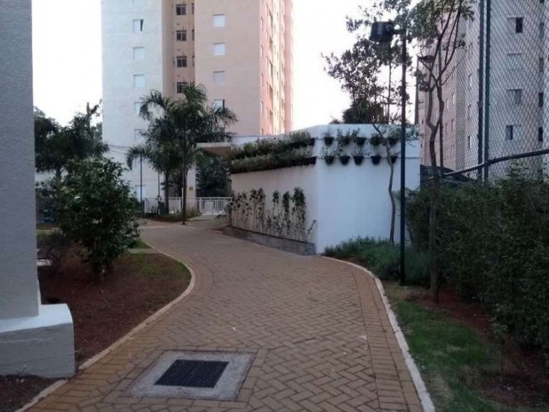 imóvel com 65m² - Jardim Íris - São Paulo