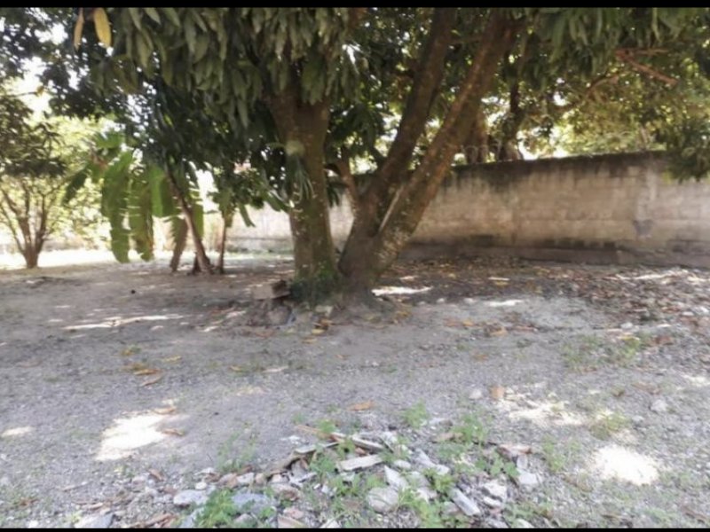 Terreno à venda Maravista com 360m² e  quartos por R$ 320.000 - 806607670-3b991d35-c88c-43cd-a505-bf3e34786521.jpeg