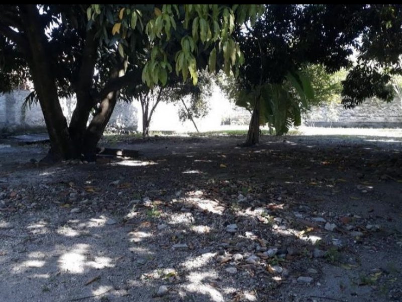 Terreno à venda Maravista com 360m² e  quartos por R$ 320.000 - 913464316-77b0bbc6-a245-4d07-ae97-862c22b1bf24.jpeg