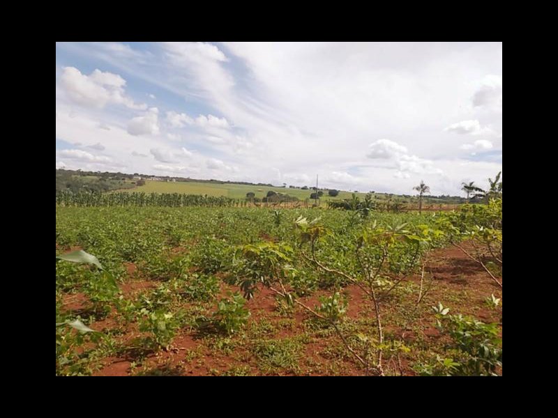 Chácara à venda Estrada Pau furado Alvorada com 22000m² e 2 quartos por R$ 480.000 - 1756979293-7.jpg