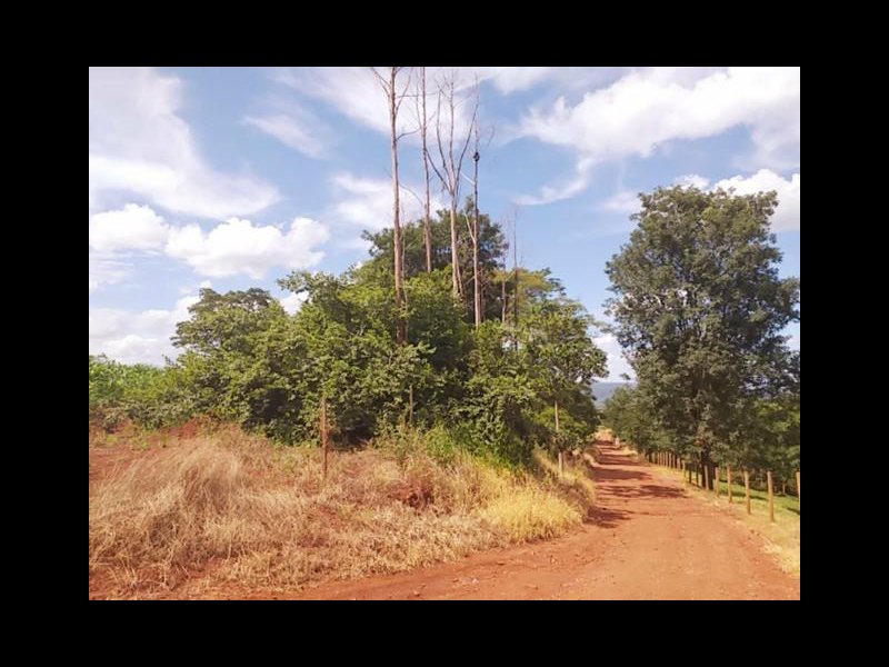 Chácara à venda Estrada Pau furado Alvorada com 22000m² e 2 quartos por R$ 480.000 - 341894938-4.jpg