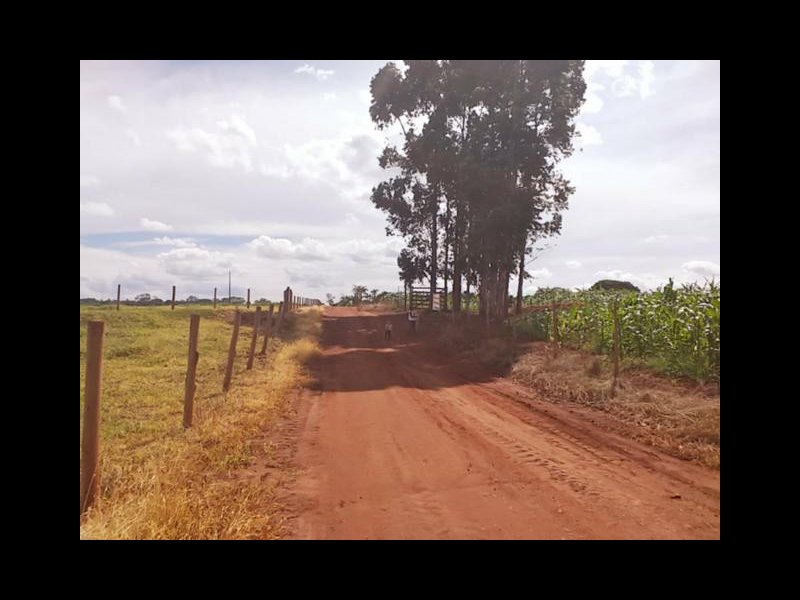Chácara à venda Estrada Pau furado Alvorada com 22000m² e 2 quartos por R$ 480.000 - 521993500-8.jpg