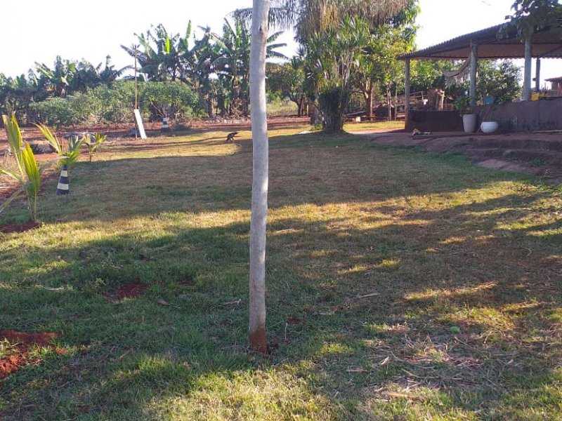 Chácara à venda Estrada Pau furado Alvorada com 22000m² e 2 quartos por R$ 480.000 - 792318805-4e0e890e-d677-4645-b204-a0f206dace25.jpg