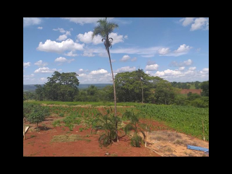 Chácara à venda Estrada Pau furado Alvorada com 22000m² e 2 quartos por R$ 480.000 - 832716491-5-copia.jpg