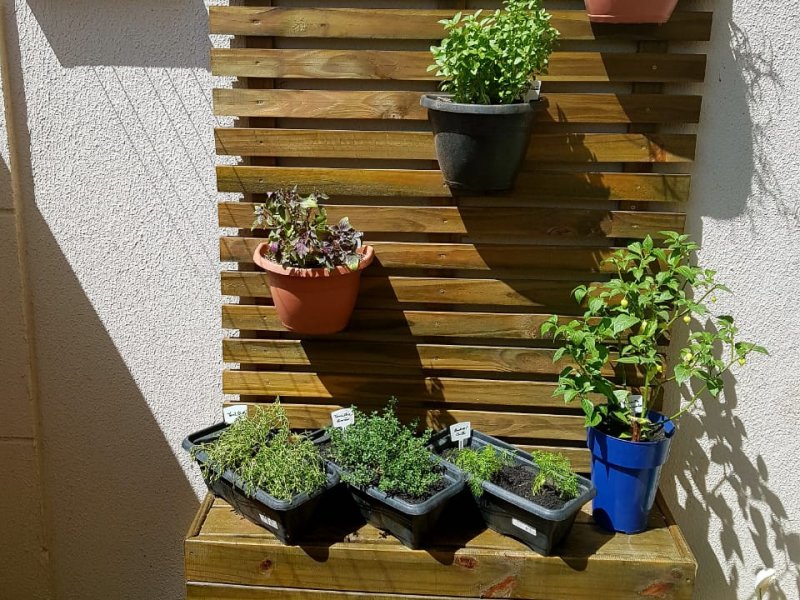 Apartamento à venda Jardim Amazonas com 55m² e 2 quartos por R$ 278.000 - 1755365184-15.jpg