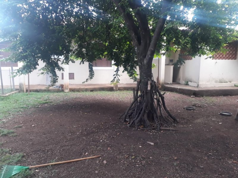 Chácara à venda João Aranha com 300m² e 3 quartos por R$ 7 - 1217667603-whatsapp-image-2020-05-24-at-11.jpeg