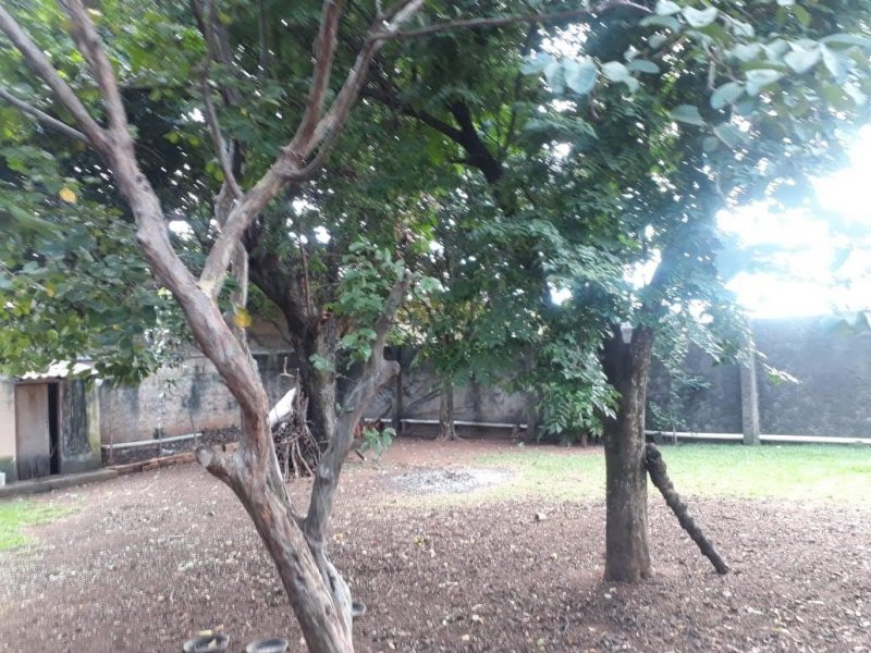 Chácara à venda João Aranha com 300m² e 3 quartos por R$ 7 - 195385810-whatsapp-image-2020-05-24-at-11.jpeg