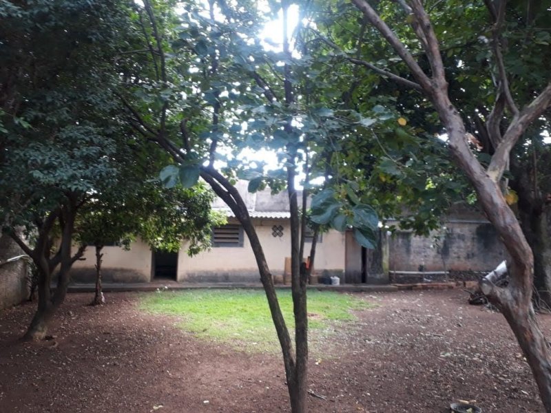 Chácara à venda João Aranha com 300m² e 3 quartos por R$ 7 - 587674630-whatsapp-image-2020-05-24-at-11.jpeg