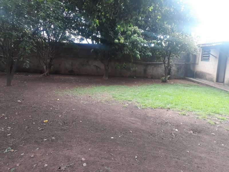 Chácara à venda João Aranha com 300m² e 3 quartos por R$ 7 - 815185271-whatsapp-image-2020-05-24-at-11.jpeg