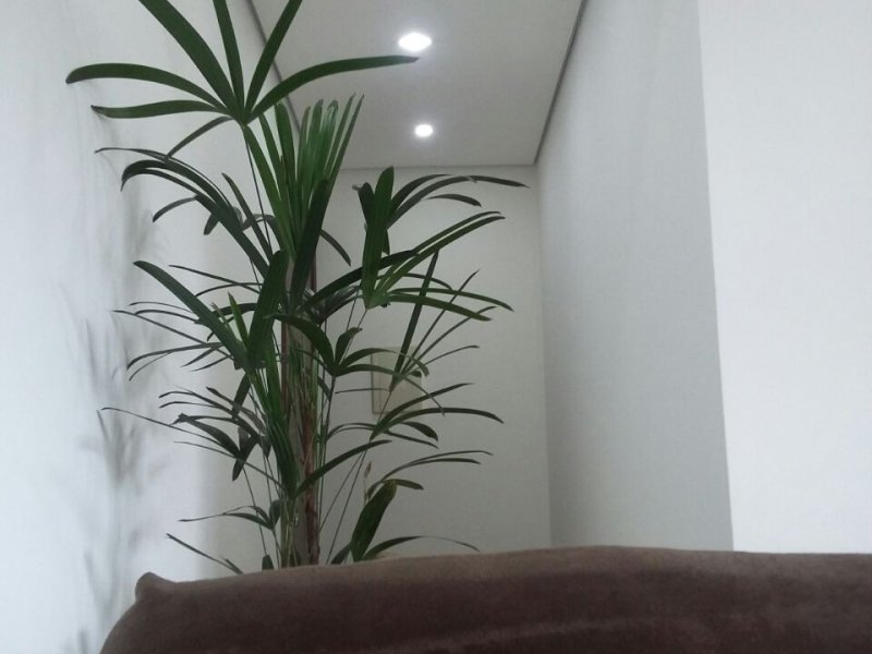 imóvel com 62m² - Vila Paranaguá - São Paulo