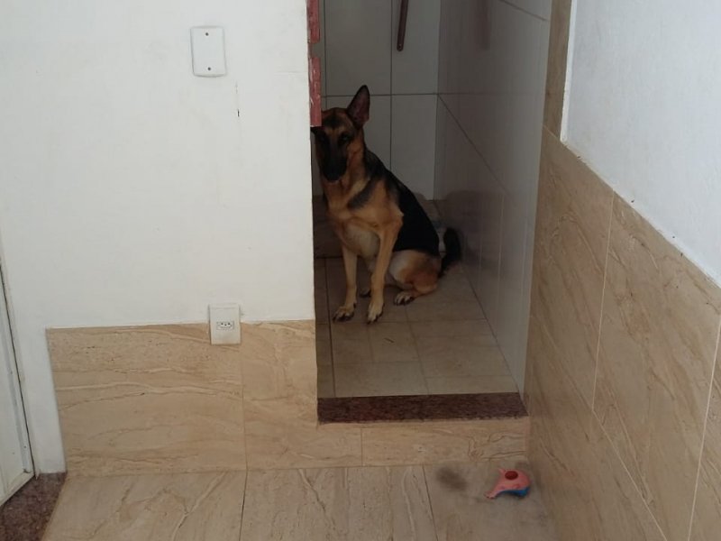 Casa à venda Balneário Ponta da Fruta com 80m² e 2 quartos por R$ 270.000 - 2116574773-whatsapp-image-2020-05-29-at-16.jpeg
