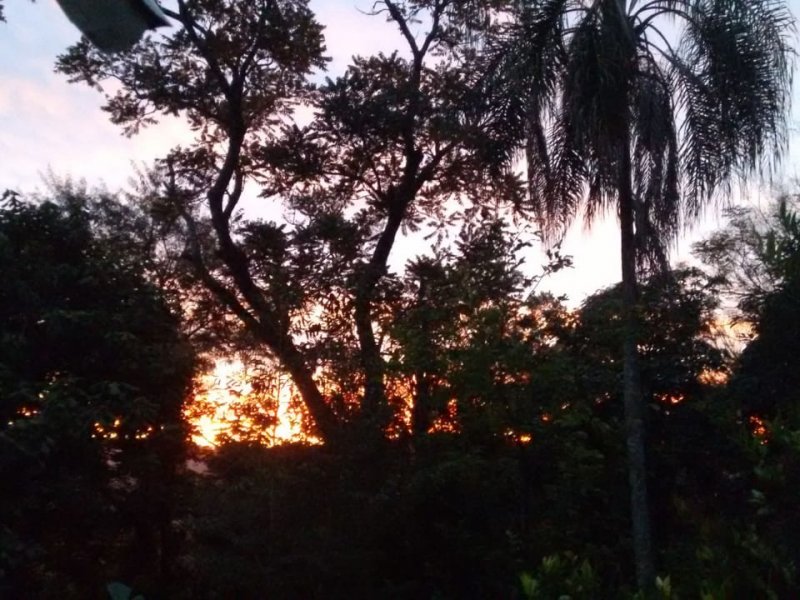 Chácara à venda Jardim Jaraguá com 3000m² e 5 quartos por R$ 880.000 - 533372537-8853fff7-f82d-4114-afdf-933075137134-1.jpg