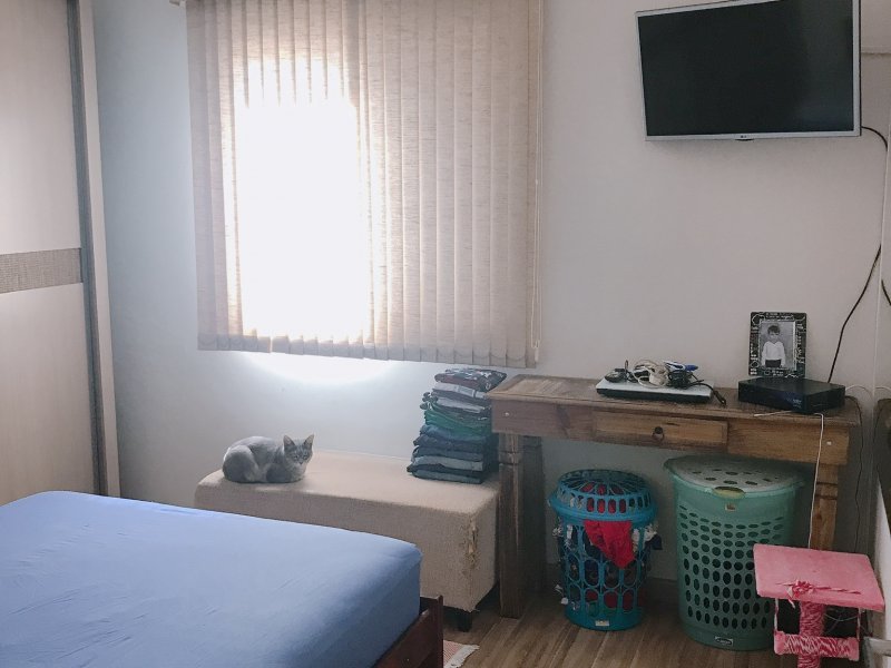 Apartamento à venda Vila Orozimbo Maia com 63m² e 2 quartos por R$ 240.000 - 481536527-499ffd1f-8a33-41e7-a358-7f5294c96581.jpeg