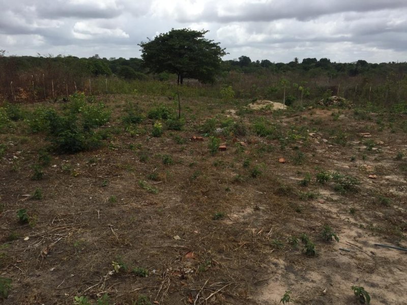 Terreno à venda Catolé com 896m² e  quartos por R$ 18.500 - 1005711135-whatsapp-image-2019-06-14-at-12.jpeg