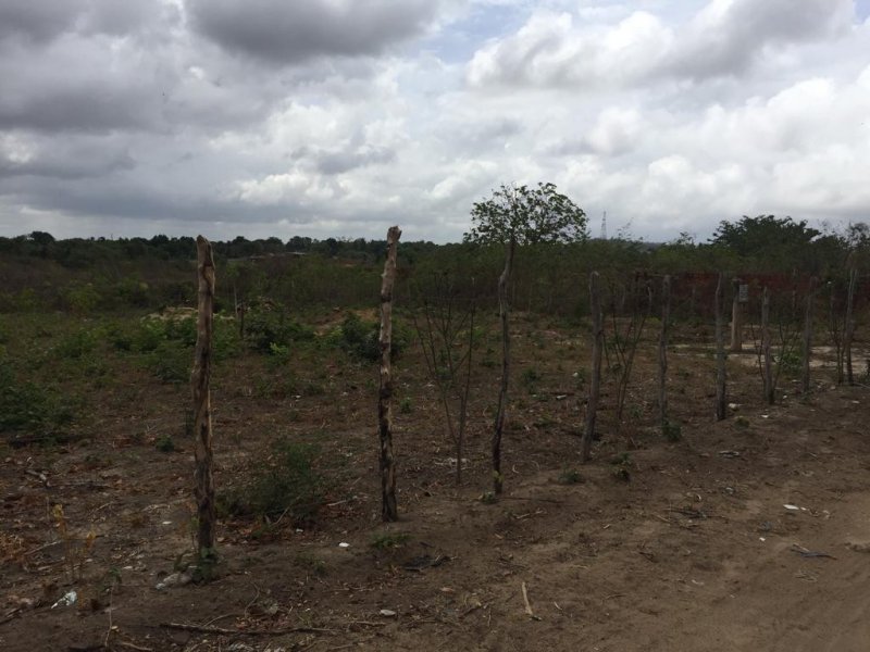 Terreno à venda Catolé com 896m² e  quartos por R$ 18.500 - 944167585-whatsapp-image-2019-06-14-at-12.jpeg