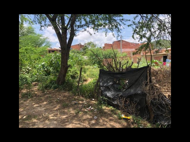 Terreno à venda Rendeiras com 75m² e  quartos por R$ 32.000 - 1333482250-8-foto.jpg