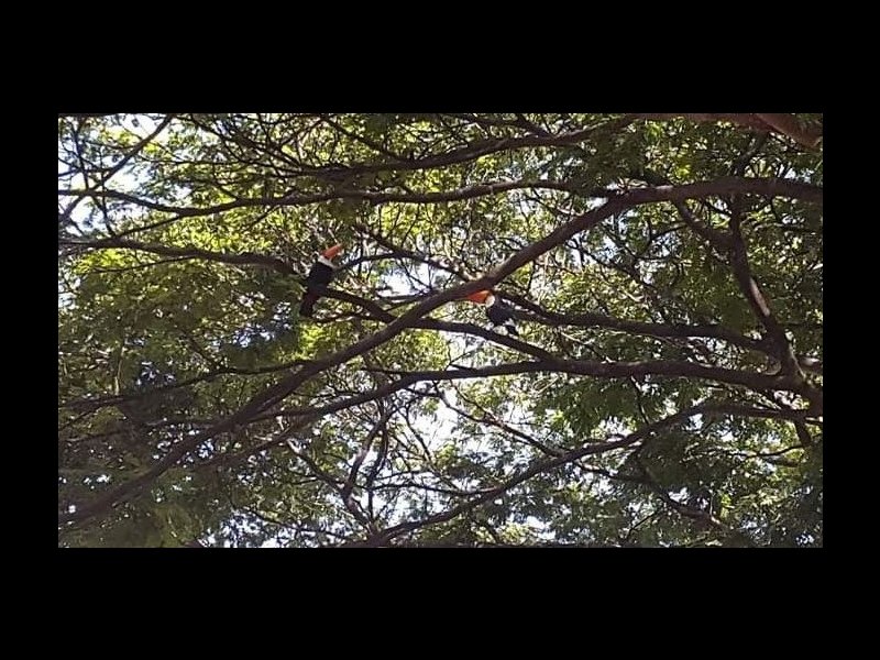 imóvel com 55m² - Jardim Miranda - Campinas