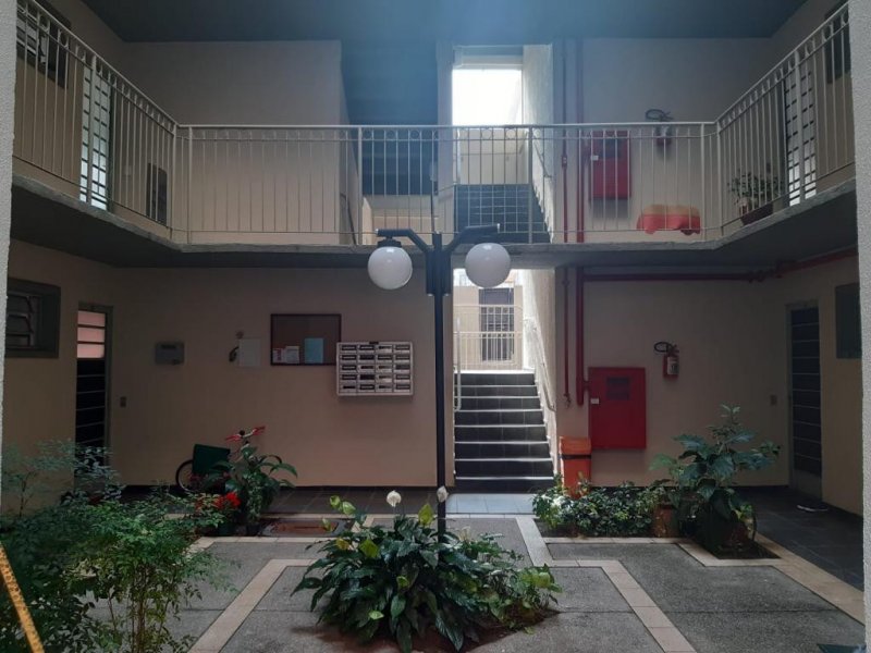 imóvel com 55m² - Jardim Casa Pintada - São Paulo