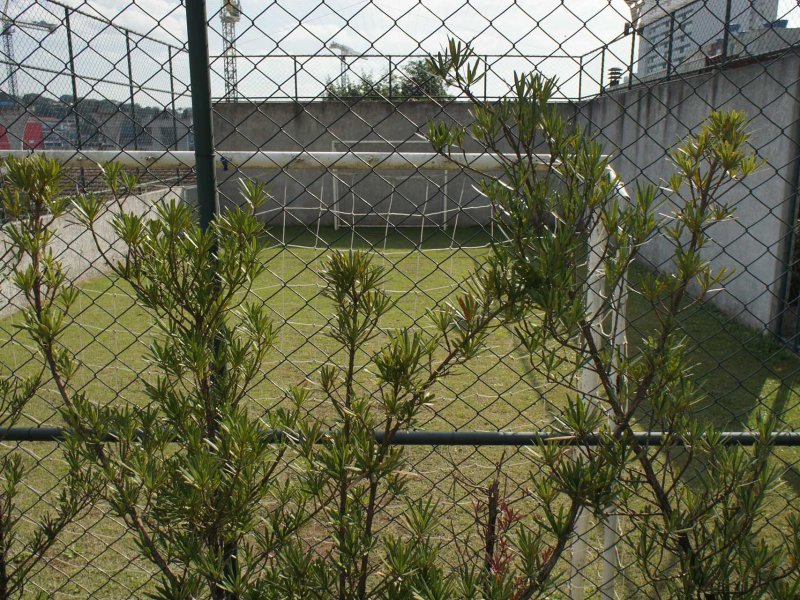 Apartamento à venda Jardim Aeroporto com 63m² e 3 quartos por R$ 510.000 - 426641787-quadra.jpg
