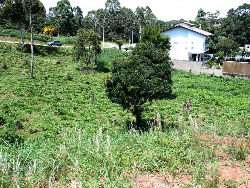 Terreno à venda Residencial San Diego com 809m² e  quartos por R$ 150.000 - 580095854-paysage-foto-6.jpeg