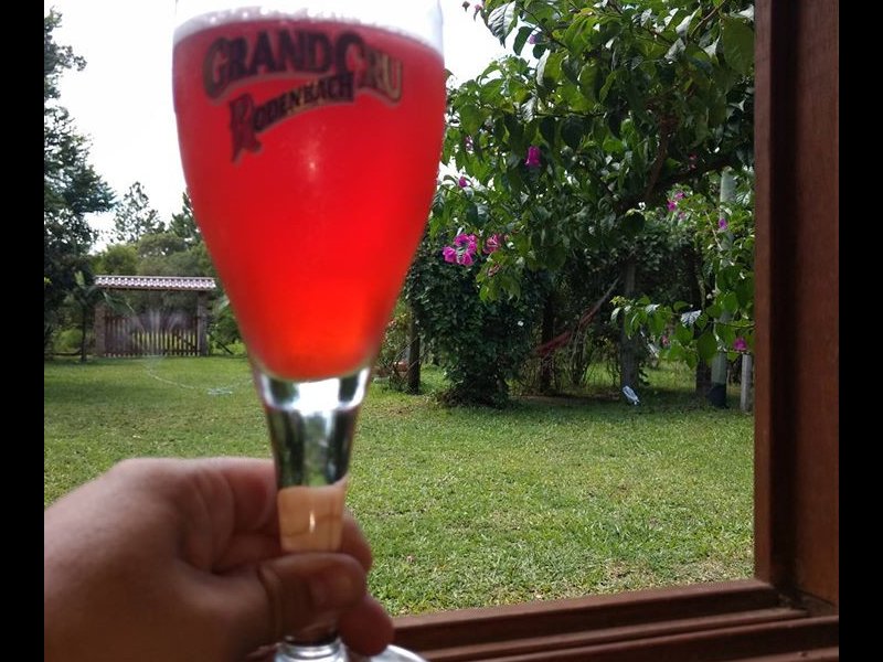 Chácara à venda Águas Claras com 945m² e 1 quarto por R$ 155.000 - 217772269-28336270-462358020833579-3264344603784990385-o.jpg